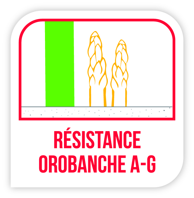 Visuel Résistance orobanche A-G